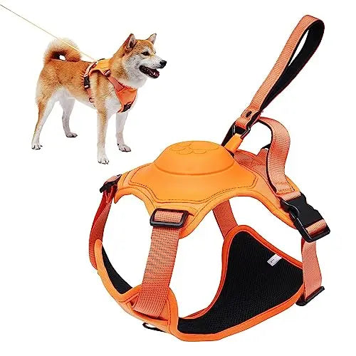 Professionelles Hundegeschirr 2 in 1