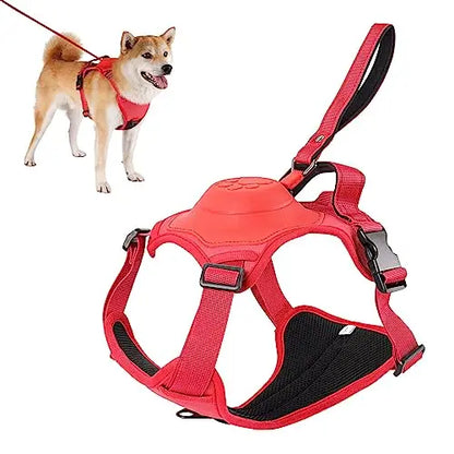 Pettorina professionale per cani 2 in 1